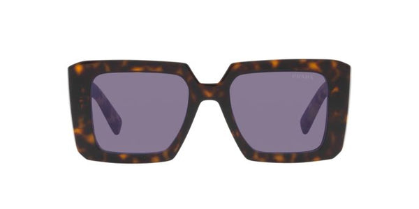 ANIMAL PRINT SUNGLASSES